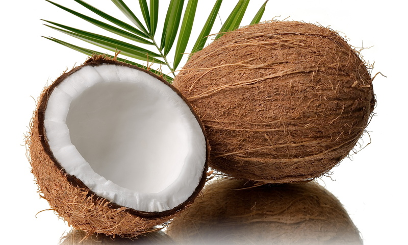 backgrounds, white, close-up, brown, tropical Fruit, dieting, indoors, coconut Palm Tree, tropical Climate, organic, coco, still life, half, no People