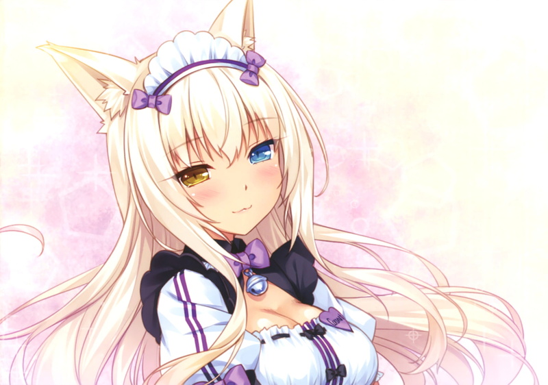 Coconut (Nekopara), pink color, no people, mask, wall - building feature, day, Anime, Neko, indoors, disguise, mask - disguise, Nekopara, Heterochromia