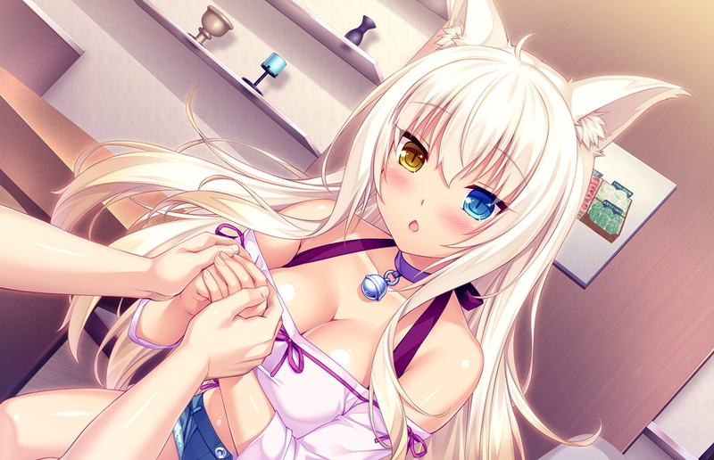 Coconut (Nekopara), Shorts, Girl, Anime, Collar, 1080P, Nekopara, Neko, Blonde, Heterochromia