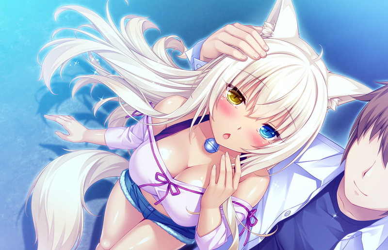 Blonde, Blush, Heterochromia, Nekopara, Shorts, Boy, Anime, Girl, 1080P, Coconut (Nekopara), Neko