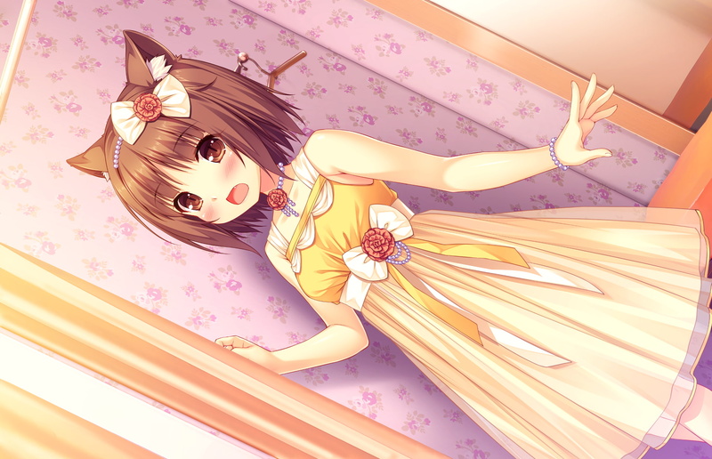 1080P, Anime, Nekopara, Azuki (Nekopara), Cat Girl