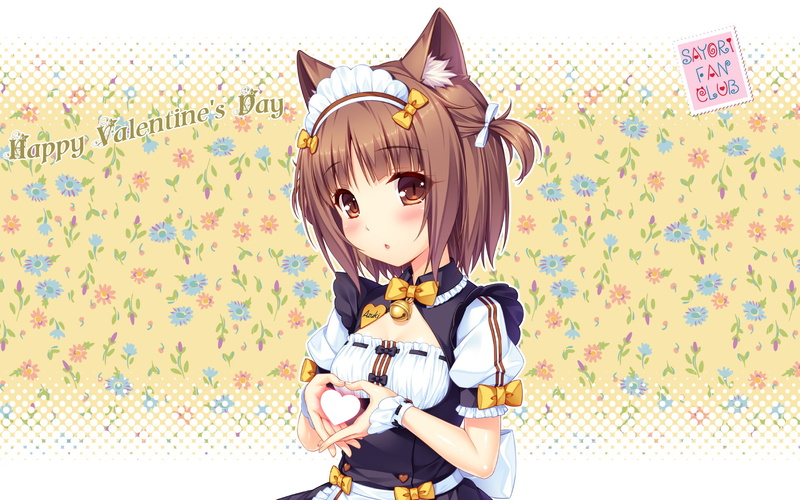 1080P, Anime, Nekopara, Azuki (Nekopara)
