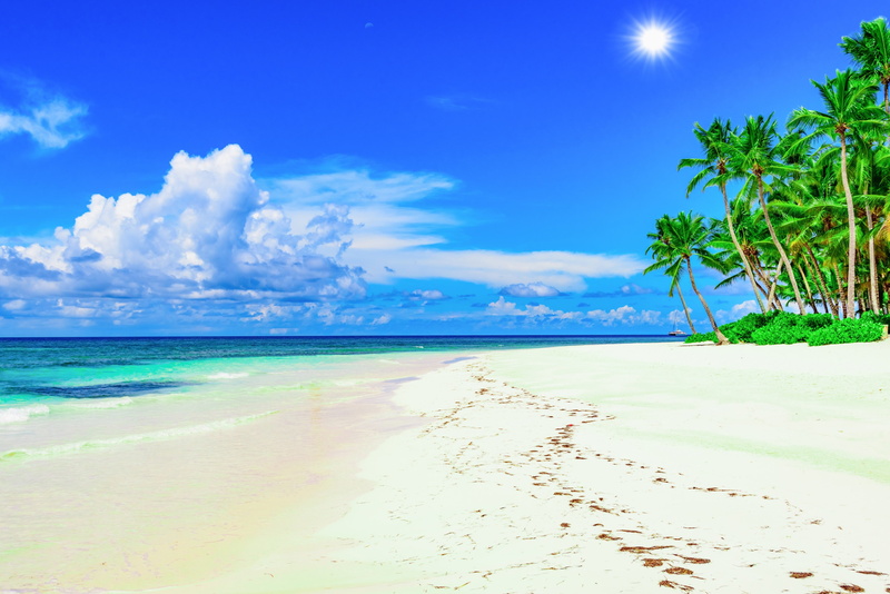 sand, tranquil scene, 4K, sea, horizon, land, blue, lagoon, coconut palm tree, horizon over water, beach 4k hd  for pc, tahiti, water, outdoors, beauty in nature
