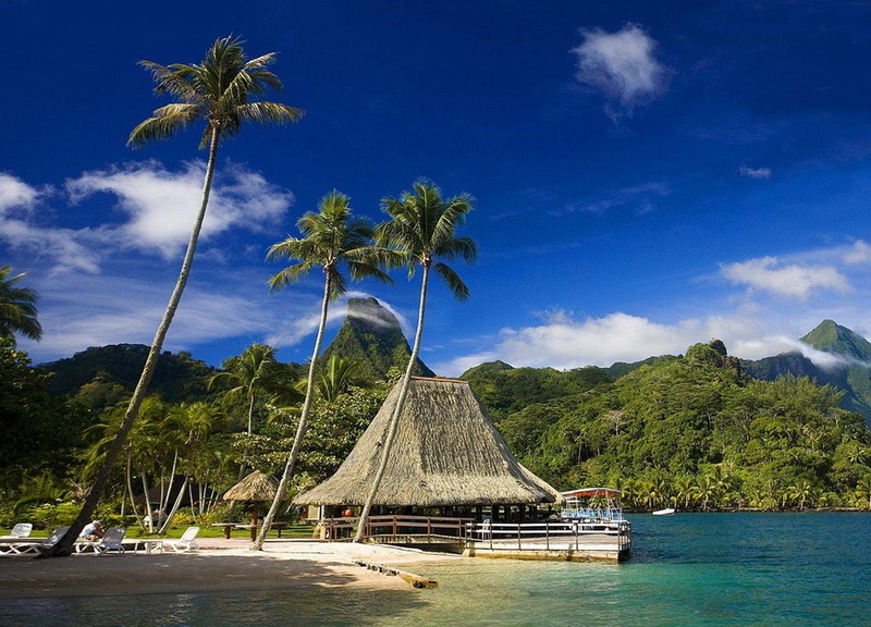 beach, palm trees, scenics - nature, land, tranquility, water, French Polynesia, outdoors, mountains, resort, cloud - sky, tropical tree, island, 720P