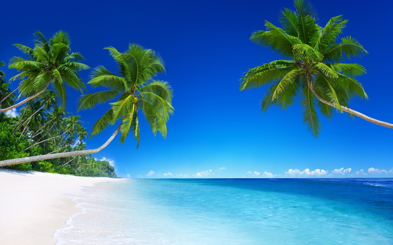 luxury, outdoors, scenics - nature, sky, coconut palm tree, travel destinations, tropical tree, hd nature 1080p 1920x1200, tahiti, 1080P, tranquility