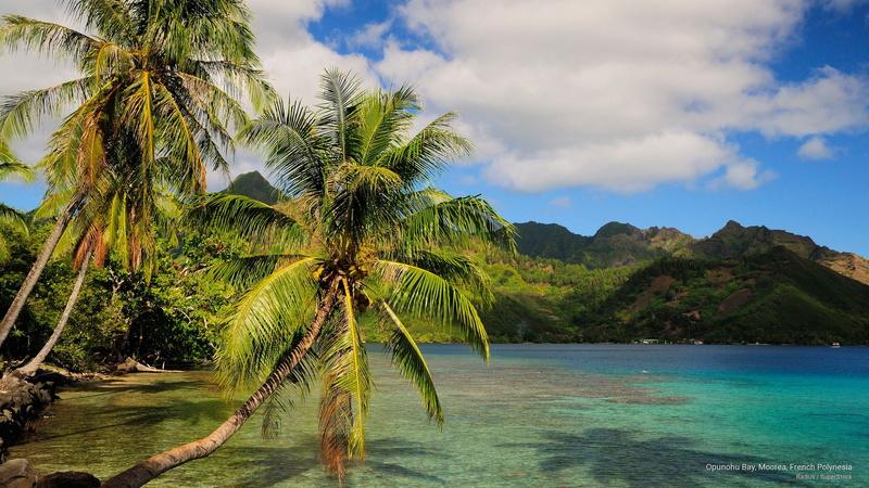 Islands, 2K, french, bay, opunohu, polynesia, moorea