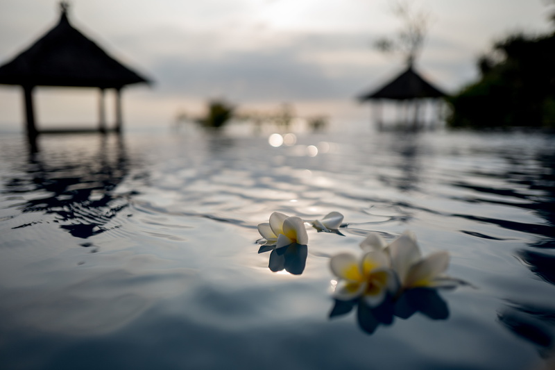 Paradise, nature, summer, lake, wellness, two, 5K, photo, shift, travel, asia, beauty In Nature, flowers, holiday, tropical, tilt shift, floating, indonesia