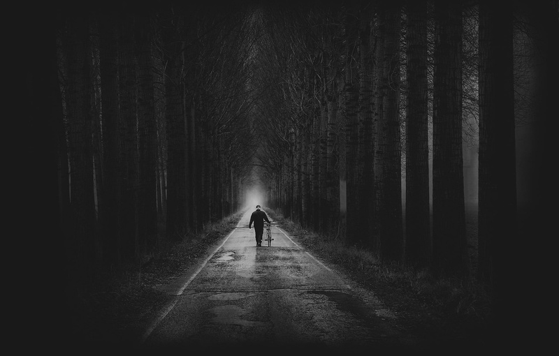 man, treelined, silhouette, leisure activity, dark, forest, nature, bicycle, one person, transportation, real people, walking, road, full length, outdoors