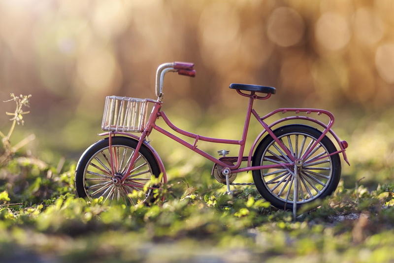 green color, outdoors, grass, mode of transportation, bicycle, plant, sunlight, day, land, focus on foreground, growth, 1080P, land vehicle, tree, transportation