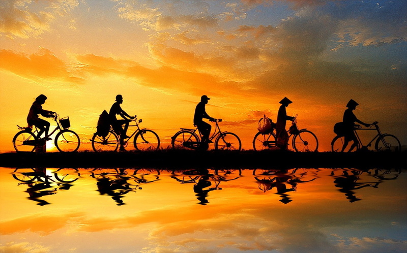 bicycle, 720P, nature