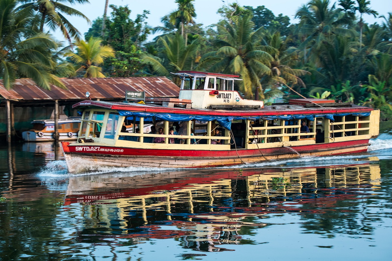 asia, moored, wash, passenger craft, travel, tourism, speed, palm tree, tree, ferry, coconut palm tree, people, day, india, outdoors, south, fishing boat