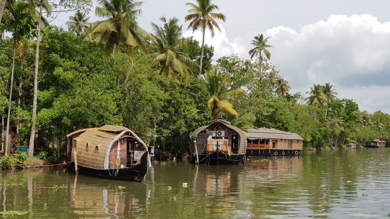 green color, mode of transportation, built structure, india, houseboat, water, reflection, backwaters, growth, cochin, waterfront, tropical climate, day