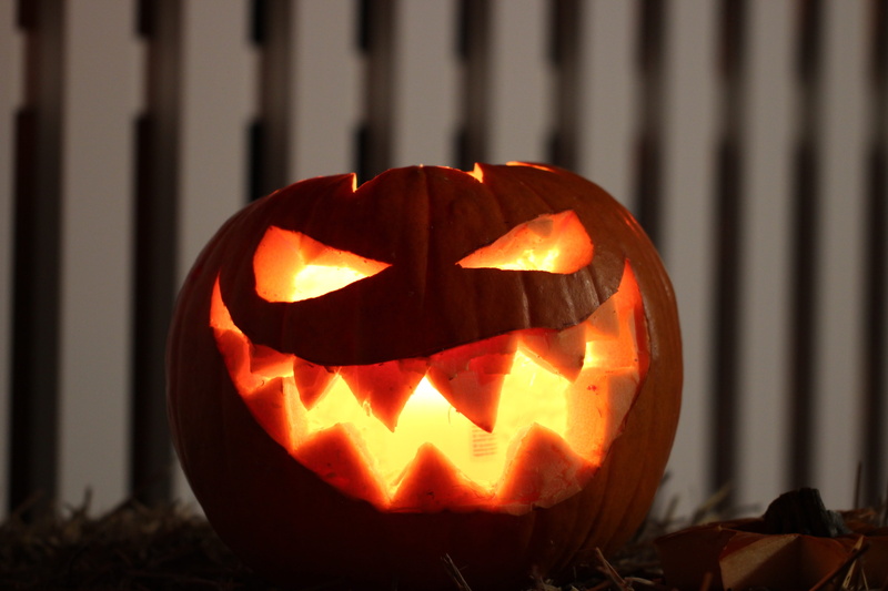 orange color, frankenweenie, autumn decoration, halloweenkuerbis, food and drink, pumpkins autumn, dark, pumpkin face, close-up, decoration, jack o lanterns