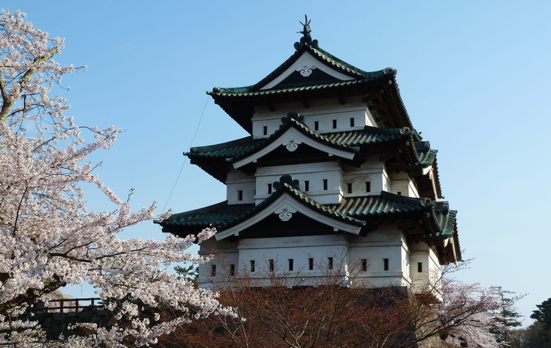 tree, ancient, landmark, spring, springtime, building Exterior, trees, outdoors, east Asian Culture, built structure, architecture And Buildings, plant
