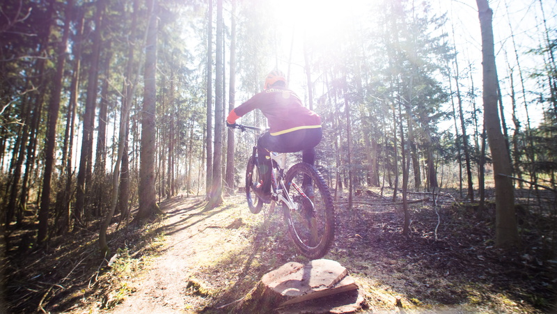 bicycle, activity, downhill, trail, hundsberg, lifestyles, andreas viehböck, outdoors, ride, day, buchkirchen, forest, riding, cycling, thomas schweighofer