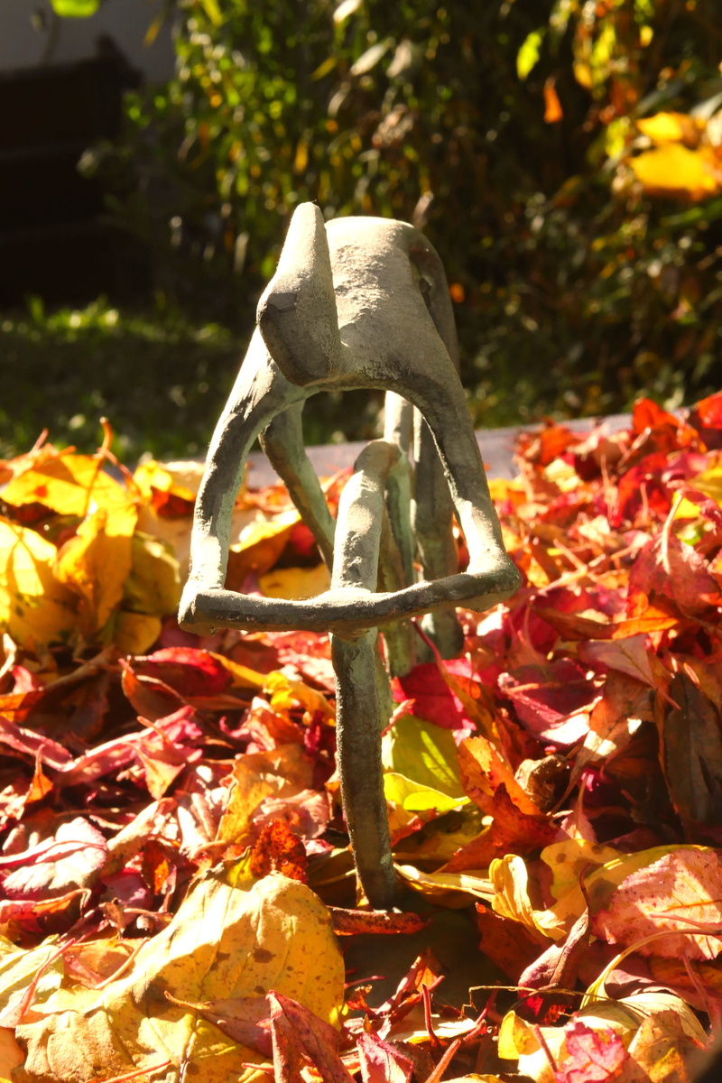 change, cast, plant, out, leaves, road bike, locomotion, bike, land, 5K, tour, cycling, leaf, dry, forest, in the, leisure, cyclists, movement, beauty in nature