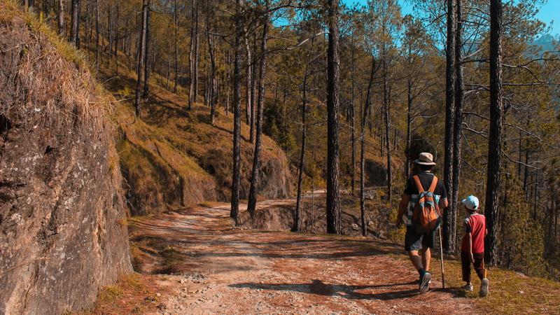 women, child, day, hike, father, tree, downhill, family, 5K, real people, men, childhood, trail, environment, mountain, autumn, travel, road