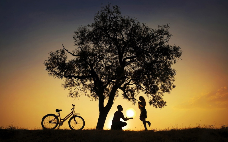 silhouette, love, girl, moon, luna, Moon gift, valentine, gift, luminos, 720P, man, tree, couple, funny, night, bike