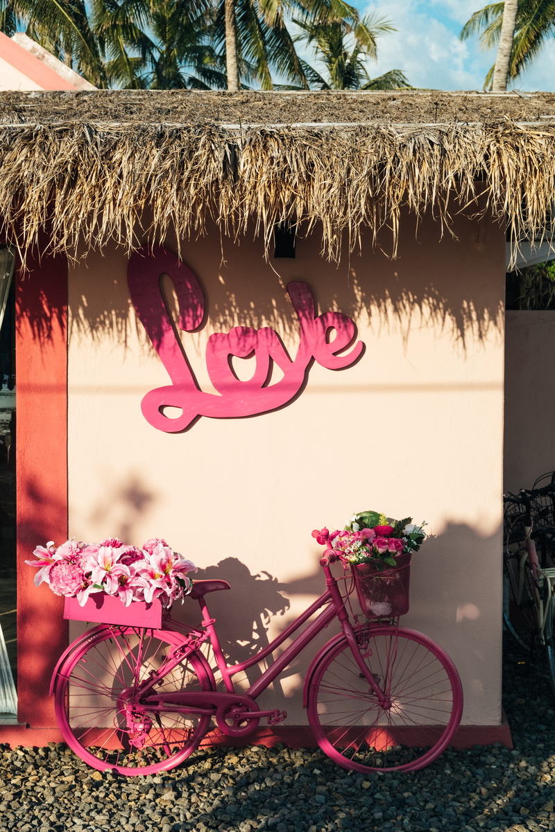 floral, day, vase, love, tropical, decoration, built structure, city, building exterior, sunlight, flora, roof, plant, pink, bicycle, nature, bike, flowering plant