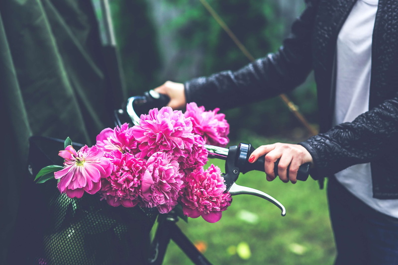 focus on foreground, people, girl, plant, gift, park, color, peonies, grass, leaf, bike, pink, day, purple, pink color, holding, romance, flower arrangement