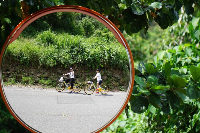 vehicle, teamwork, group, summer, action, urban, ride, plant, bicycle, travel, lifestyle, land vehicle, transportation, friendship, people, competition