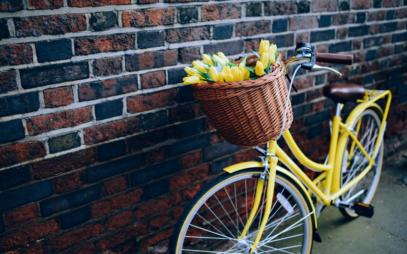 bike, bicycle, life, flowers, love, 4K, yellow, wall