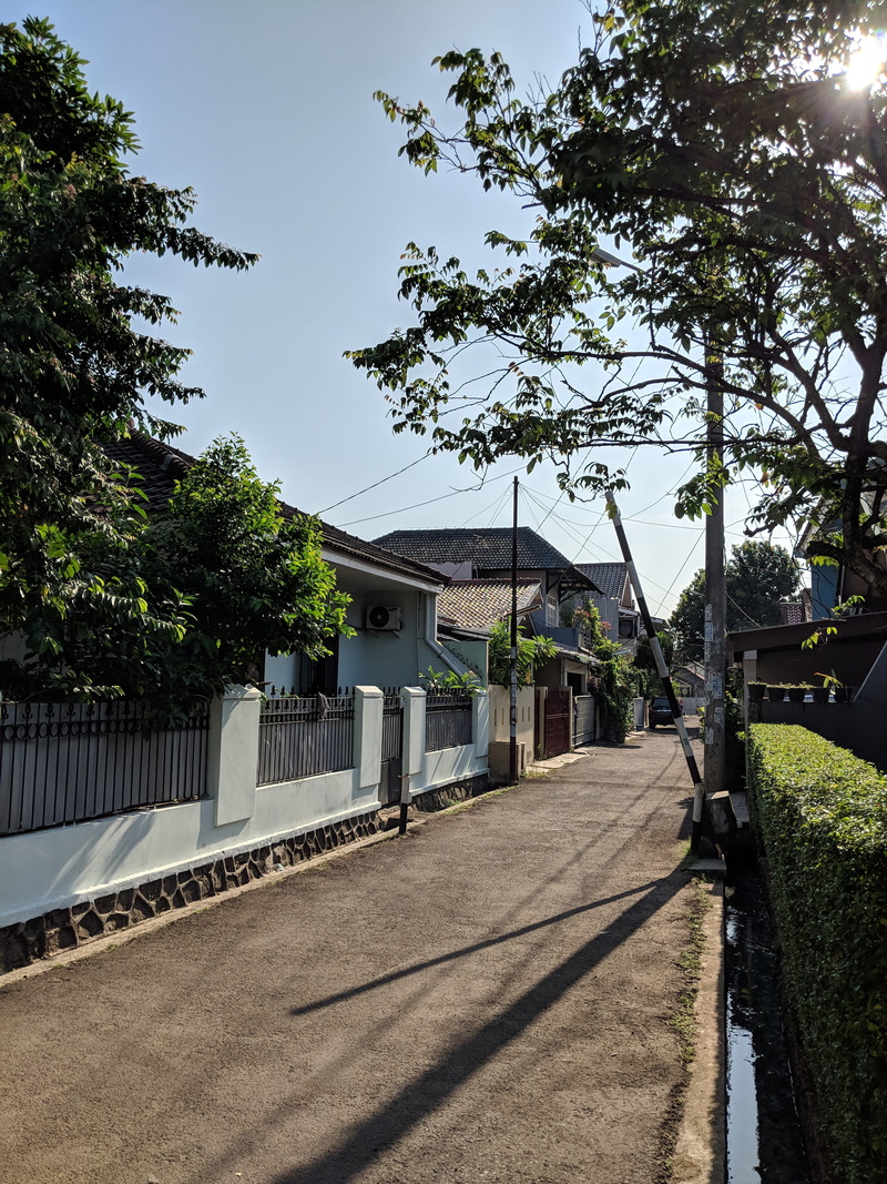 growth, outdoors, direction, the way forward, transportation, building, hood, tree, plant, built structure, environment, home, footpath, 4K, neighbourhood