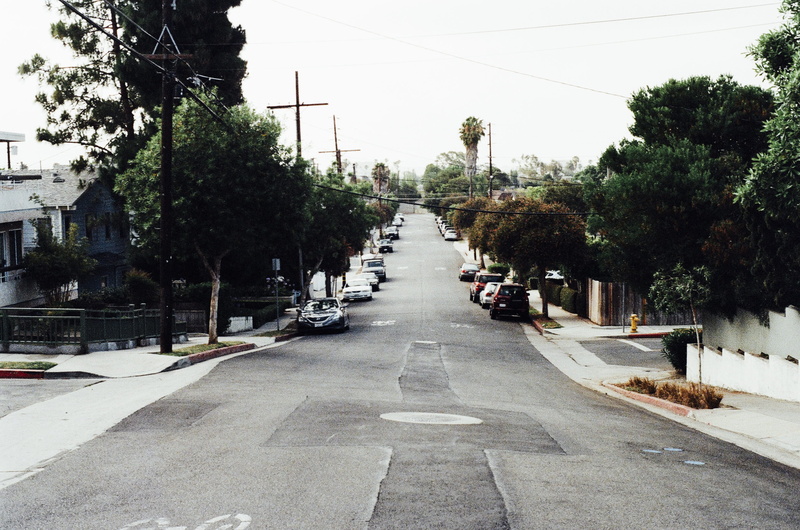 plant, cars, no people, neighbourhood, vintage, building exterior, suburbs, tree, growth, old, urban, built structure, grunge, parking, nature, sidewalk