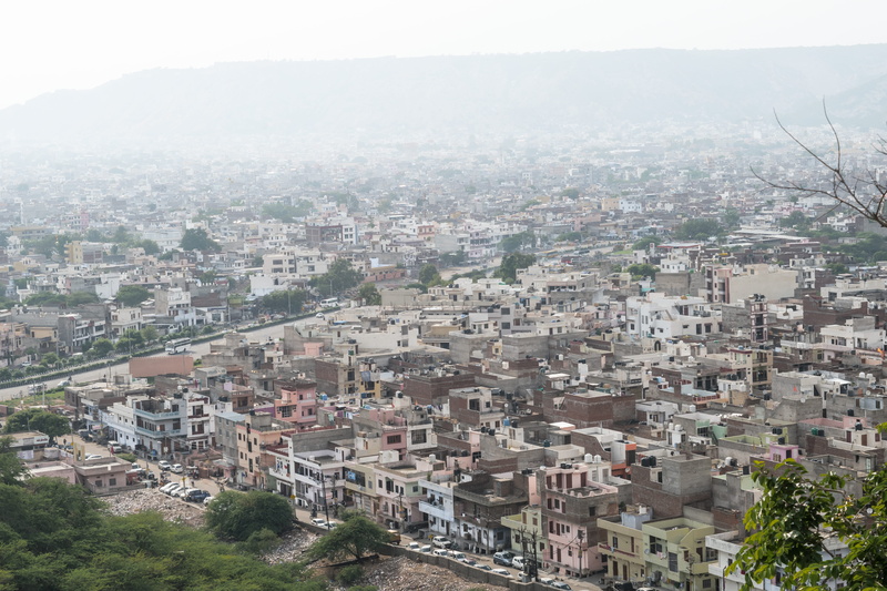 tree, nature, landscape, settlement, architecture, neighbourhood, roof, crowd, high angle view, jaipur, community, day, elcarito, suburbs, residential district