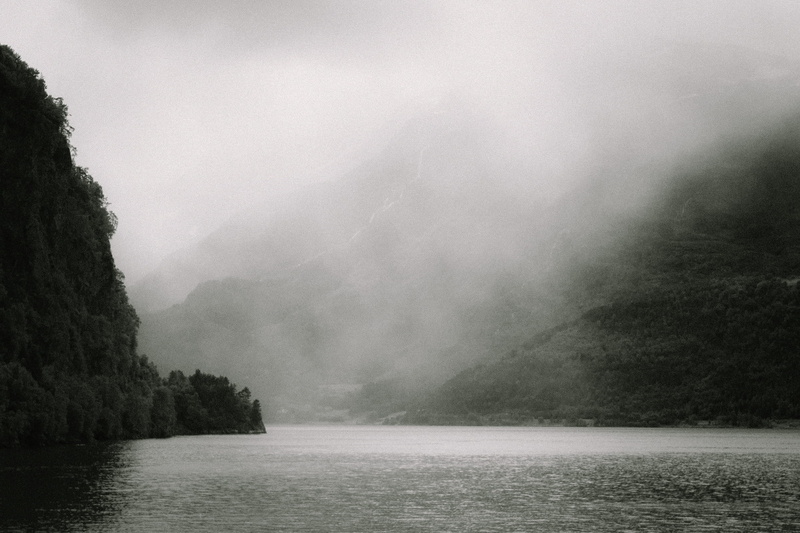 plant, idyllic, tranquility, forest, rainy, rain, beauty in nature, fog, outdoors, norvège, non-urban scene, norway, fjord, mountain, waterfront, black and white