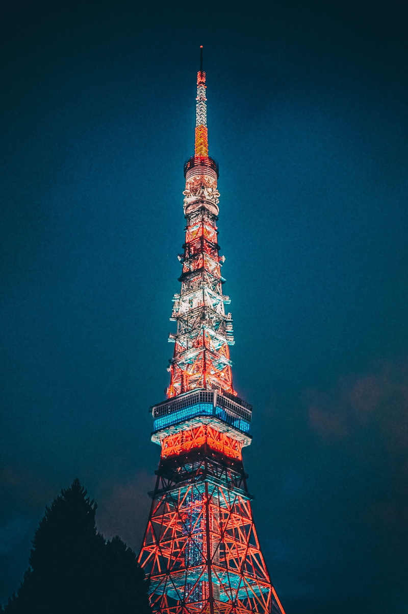 tree, lights, travel destinations, built structure, cityscape, japan, spire, low angle view, city, red, tokyo, outdoors, architecture, landmark, tall - high