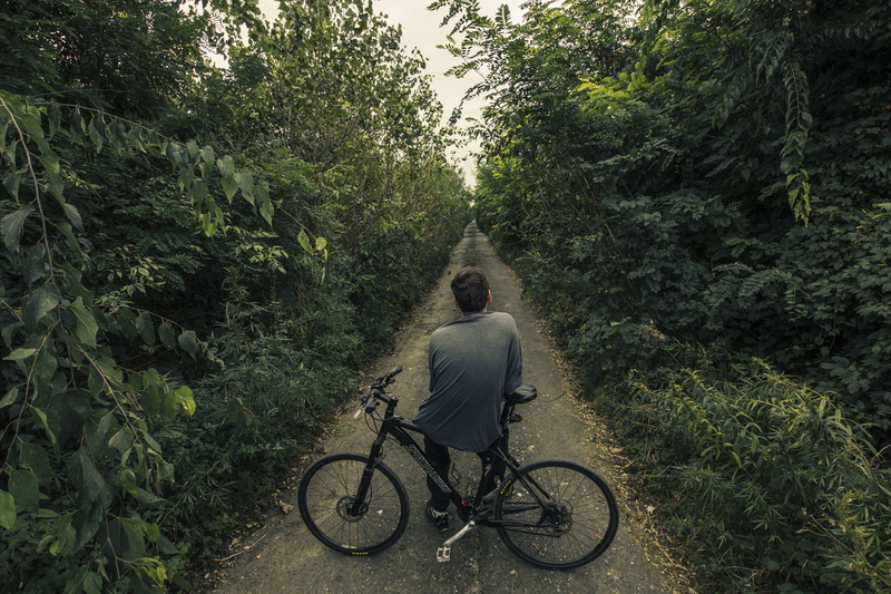 mode of transportation, road, cyclist, day, one, way, 5K, land vehicle, cycle, men, tree, tourist, plant, real people, green color, lifestyles, leisure activity