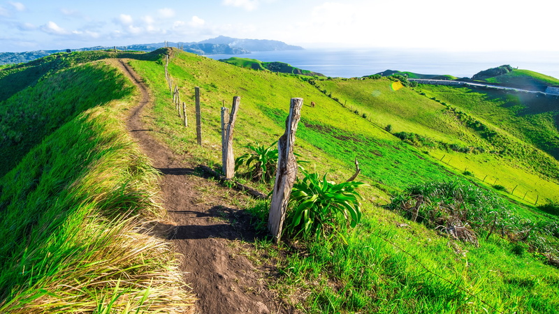 day, green color, scenics - nature, land, path, field, nature lover, fence, beauty in nature, grass, road, sky, relax, no people, travel, adventure, calm