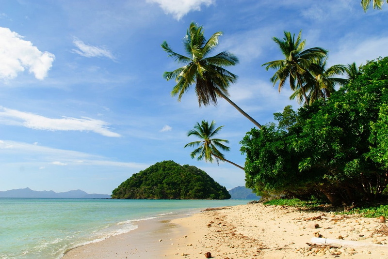 island, water, leaf, summer, idyllic, no people, plant, landscape, cloud - sky, tropical, sea, tropical climate, green, palm tree, growth, land, Philippines