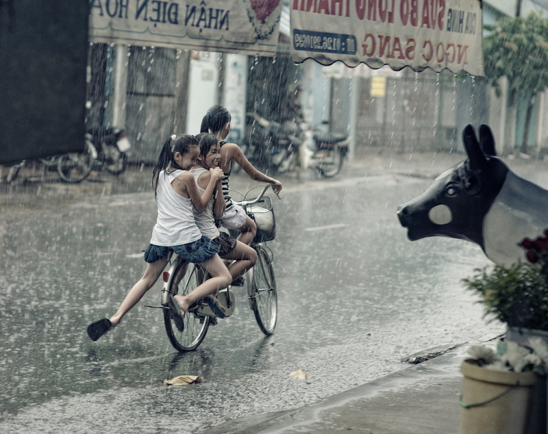 men, lifestyles, city, transportation, girls, women, full length, real people, plants, architecture, rainy, focus on foreground, day, season, two people
