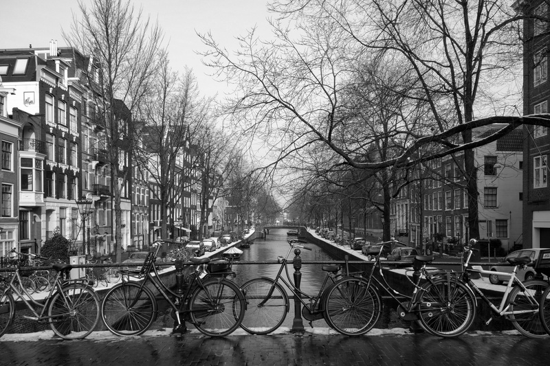 mode of transportation, outdoors, transportation, stationary, plant, amsterdam, bare tree, city, netherlands, nature, built structure, houses, cycles, building