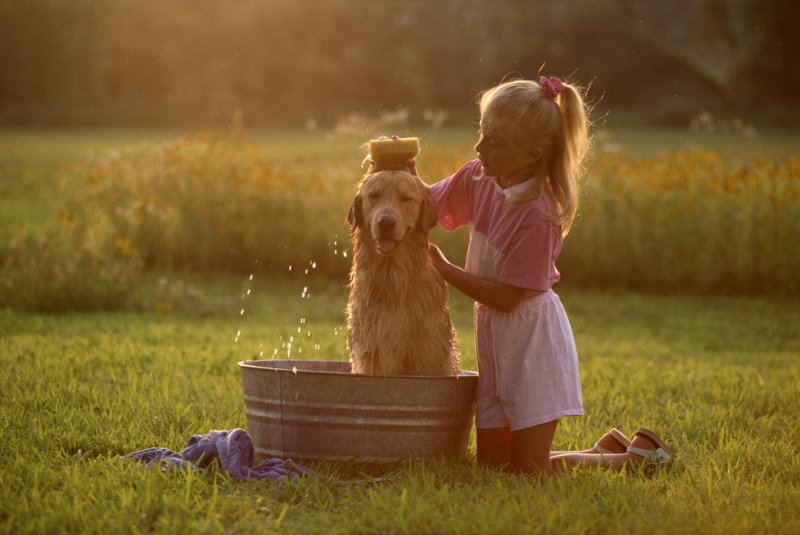 always, animals, blonde, dogs, will, labrador, girl, 1080P, dear, friends, sweet, friend, together, friendship, love, sponge bath, care