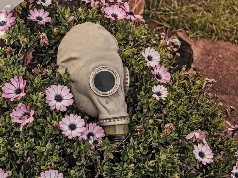 beach, decay, field, dark, retro styled, flower pot, day, sad, land, plant, no people, nature, outdoors, black, old-fashioned, mask, urbex, gas, evil, 4K