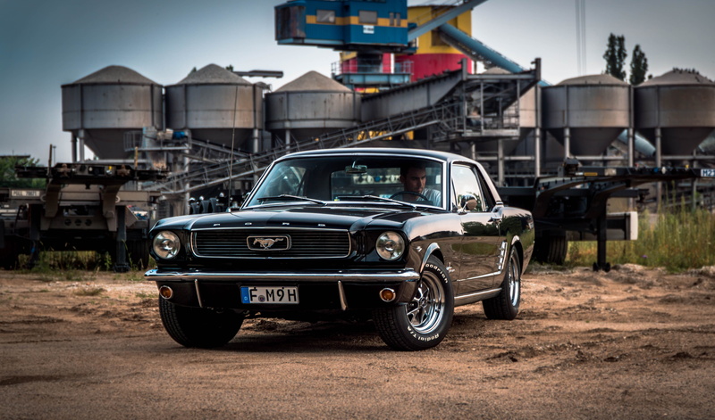america, mustang, near, outdoors, photo, muscle car, nature, built structure, horse, american, motor vehicle, architecture, motion, dirt, car