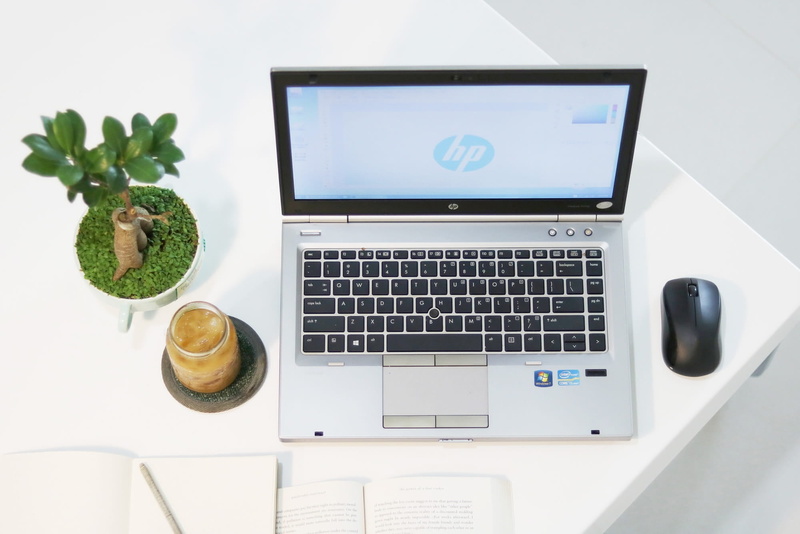 nature, technology, computer keyboard, connection, fresh, keyboard, furniture, above view, plant, houseplant, computer monitor, simple, computer, minimalism
