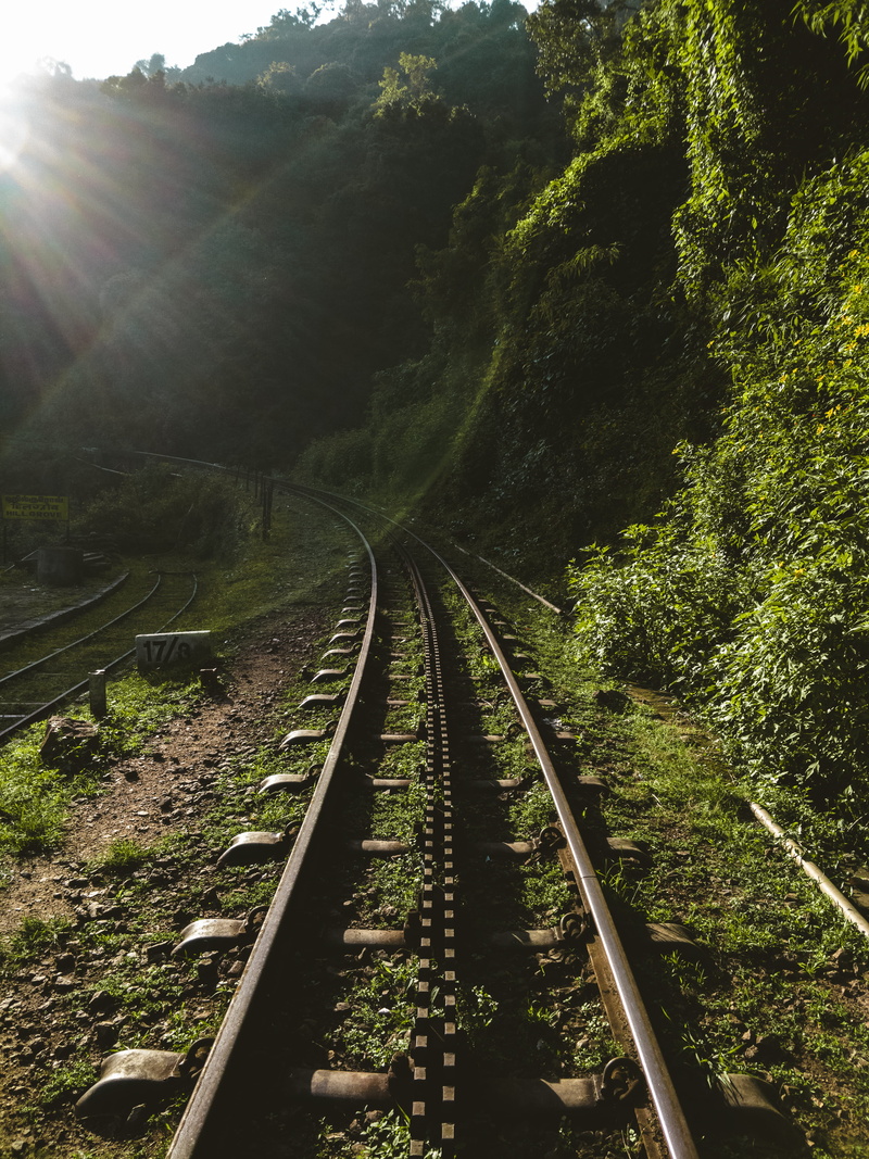 tracks, slate, plant, growth, symmetry, outdoors, gravel, railway, bridge, beside, day, diminishing perspective, green, train, sky, dirt road, perspective