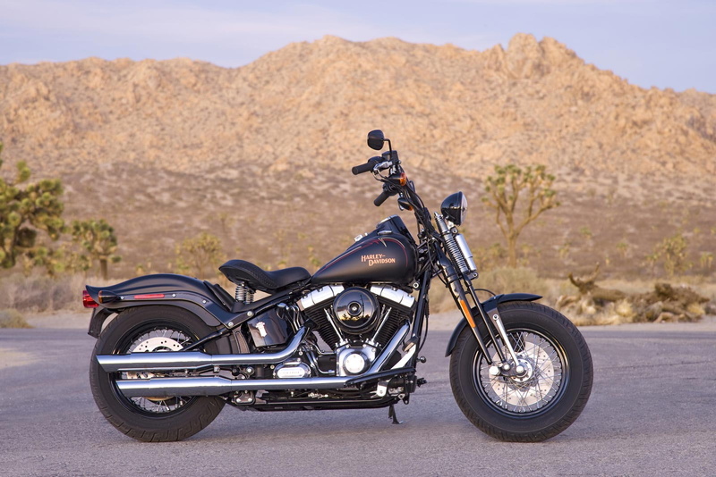 cross, 720P, harley, davidson, bones, softail, 2008, flstsb