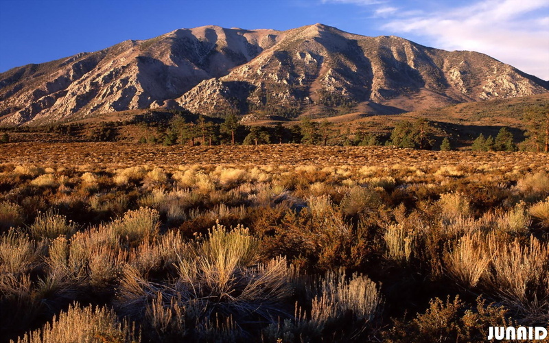 1ellina1, hill, mountain, wheeler, tina8179, alhana, flowerlady13, california, sierra, nature and landscapes, crest, 1080P, brown, eastern