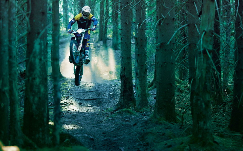 jump, cycling, recreational Pursuit, adult, tree, mountain, activity, forest, 1080P, land, caucasian Ethnicity, leisure Activity, adventure, non-Urban Scene