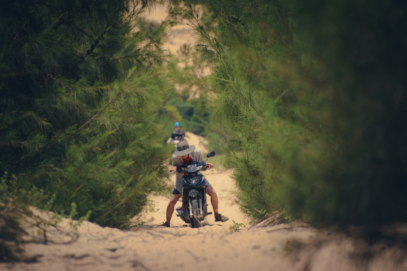 land, plant, 5K, Downhill, nature, people, trees, tree, day, sports helmet, active, extreme, motocross, passing, men, summer, transportation, dangerous