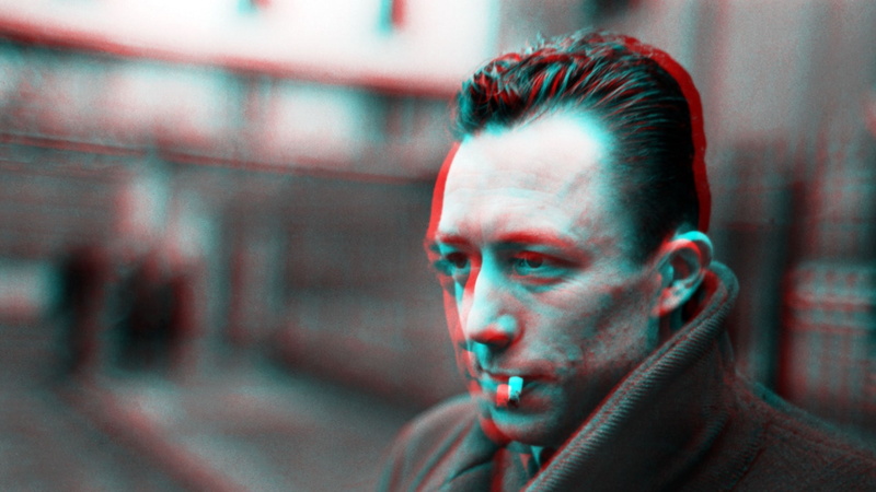 close-up, looking away, Albert Camus, brick, 1080P, real people, young men, Writers, hairstyle, indoors, men, young adult, focus on foreground, portrait