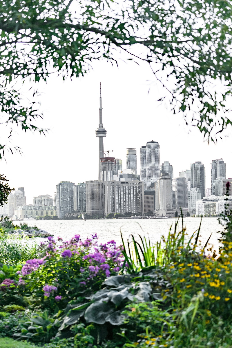 tower, high rise, potted plant, cityscape, town, tall - high, garden, vase, freshness, wards island, toronto, spire, gray, tree, city, office building exterior