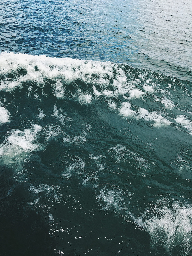 sport, full frame, water, earth, ocean, canada, wave, surfing, land, backgrounds, nature, boat, wake, high angle view, waterfront, motion, toronto, ontario