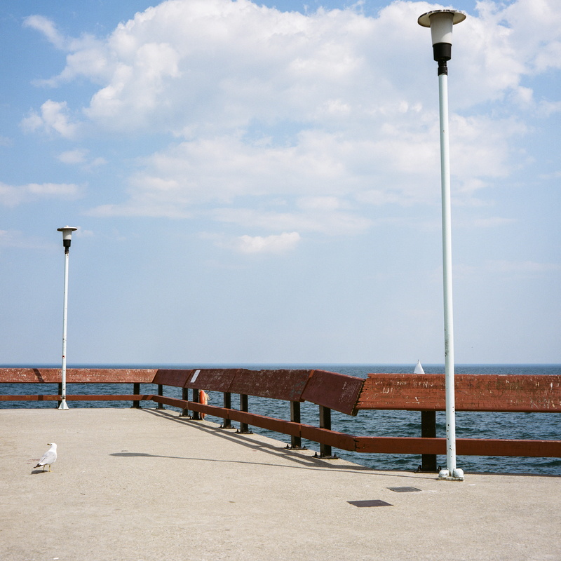 seagull, island, empty, sea, canada, view, lighting equipment, toronto, toronto island park, 4K, beauty in nature, ontario, pier, outdoors, nature, lake ontario