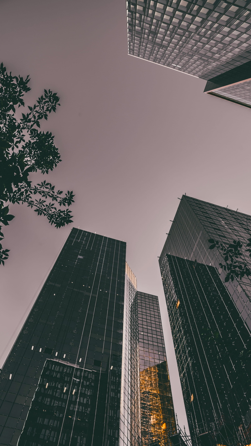 plant, 2017, office, low angle view, tall - high, clear sky, hypebeast, skyscraper, architecture, office building exterior, building exterior, 4K, trees